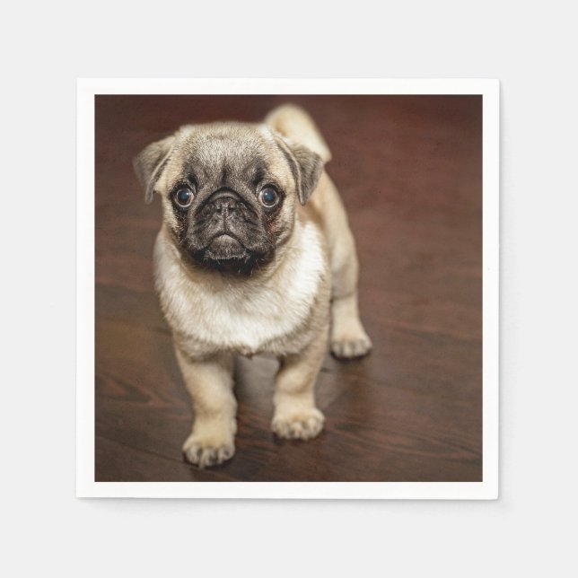 Pug Brown Hund Photo Pappersservett (Framsidan)