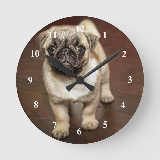 Pug Brown Hund Photo Rund Klocka (Framsida)