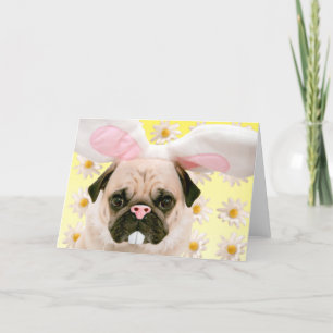 Pug Bunny Öron Kort