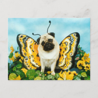 Pug Butterfly-vykort Vykort