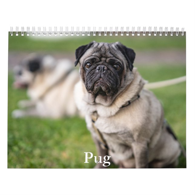 Pug Calendar Kalender (Omslag)