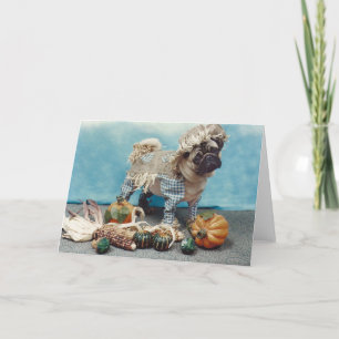 Pug Card för thanksgiving Fågelskrämma Kort