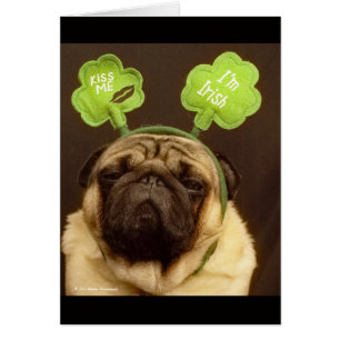 Pug Card nr 3 Hälsningskort