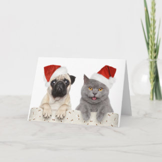 Pug & Cat - julkort Kort