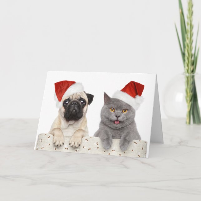Pug & Cat - julkort Kort (Framsida)