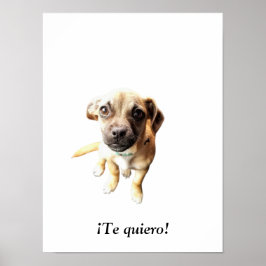 Pug Chihuahua! Puppy Hund Poster