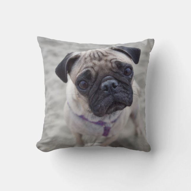 Pug Closeup Kudde (Framsida)