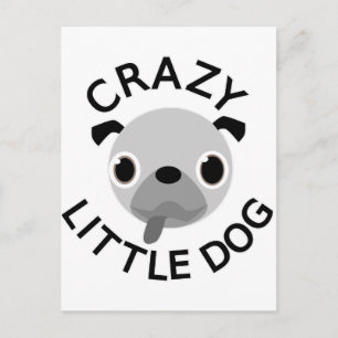 Pug Crazy Little Hund Vykort