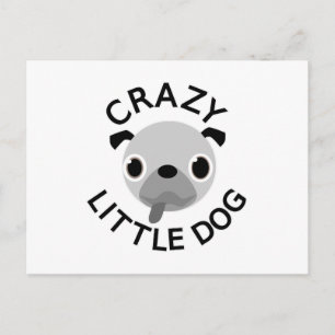 Pug Crazy Little Hund Vykort