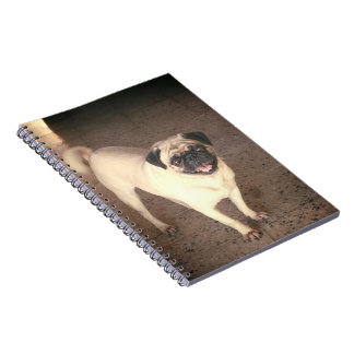 Pug design notebook(80 Páginas) Anteckningsbok Med Spiral