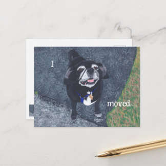 Pug Dog New Address Postcards Vykort