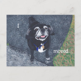 Pug Dog New Address Postcards Vykort