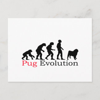 Pug Evolution Vykort