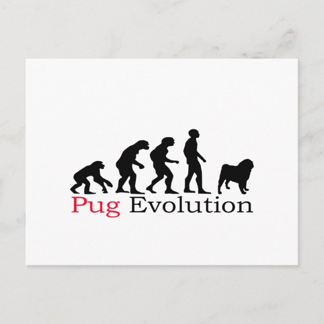 Pug Evolution Vykort (Framsida)