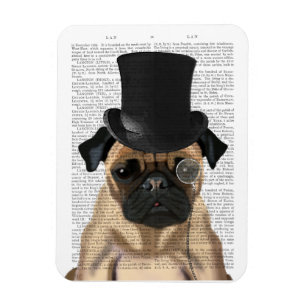 Pug, Formellt hound och Hat Magnet