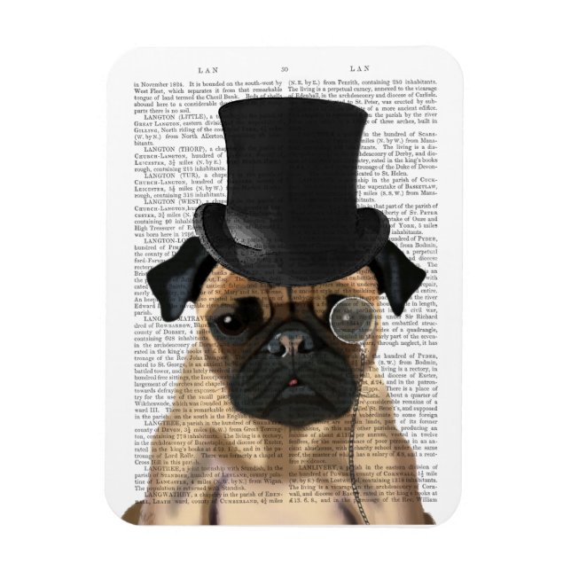 Pug, Formellt hound och Hat Magnet (Vertikal)