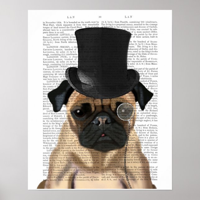 Pug, Formellt hound och Hat Poster (Framsidan)