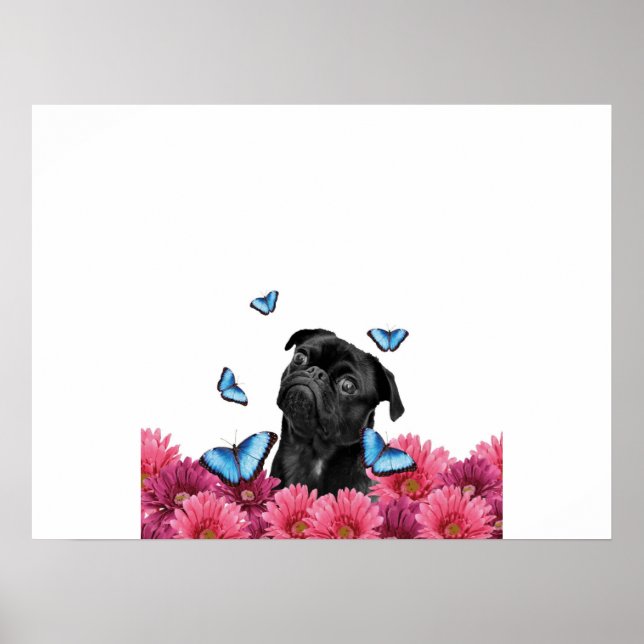 Pug Gerbera Butterflies | Cute Black Hund Poster (Framsidan)