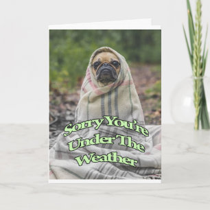 Pug Get-källkort Kort
