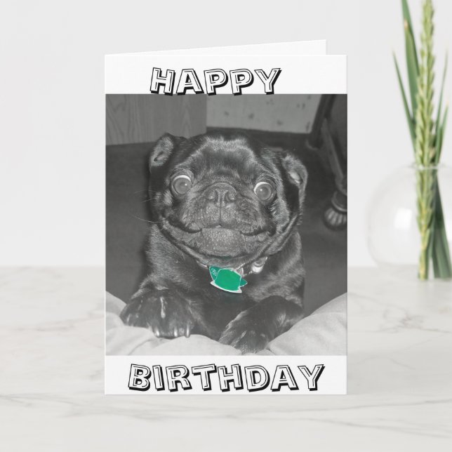 Pug Grattis på födelsedagen-kort Kort (Framsida)