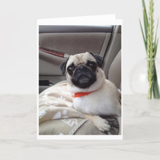 Pug Greeting Card Kort