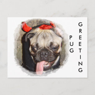 Pug Hälsning Vykort