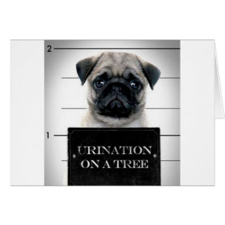 Pug Hälsningskort
