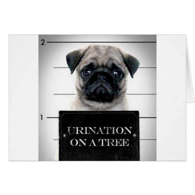 Pug Hälsningskort (Framsidan Horizontal)