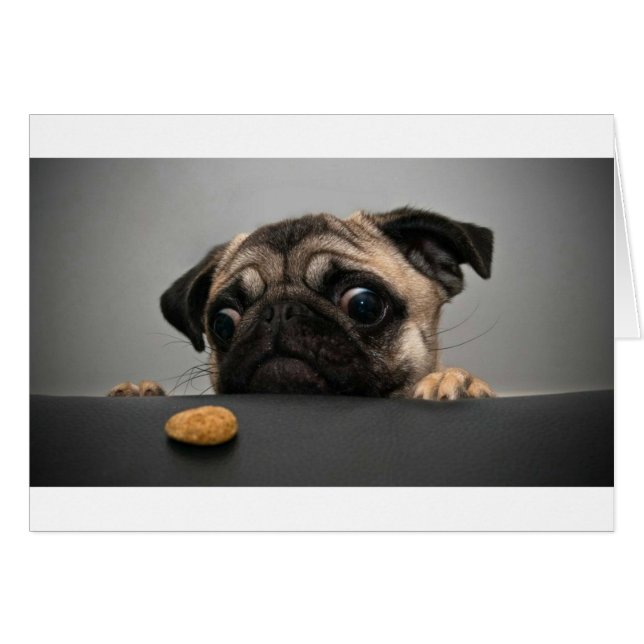 Pug Hälsningskort (Framsidan Horizontal)