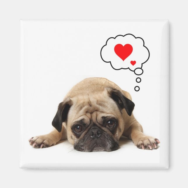 Pug Hearts Magnet (Framsidan)