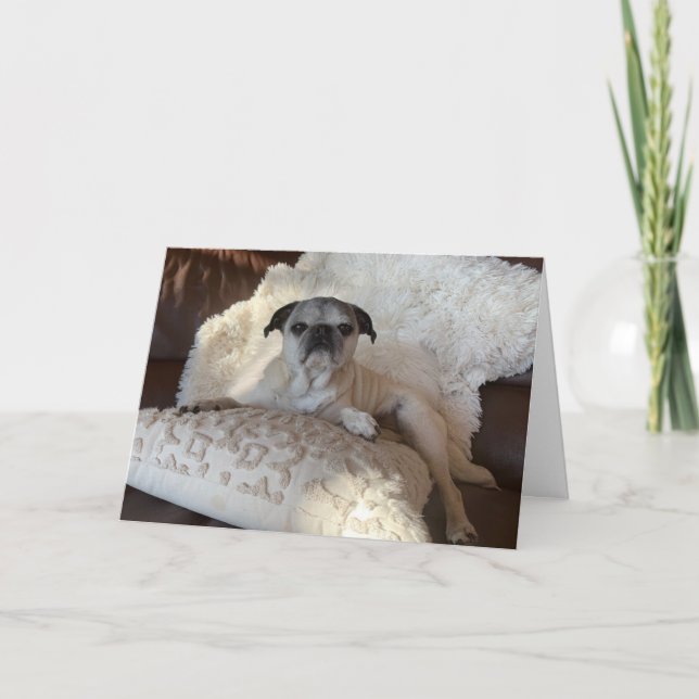 Pug Helgdag Card | Lily the Pug Kort (Framsida)