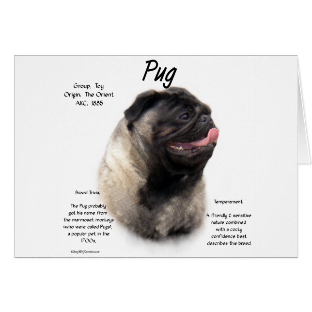 Pug History Design Hälsningskort (Framsidan Horizontal)