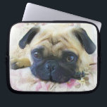 Pug hund<br><div class="desc">lägga till text eller ladda upp en egen bild</div>