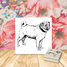 Pug Hund aveln