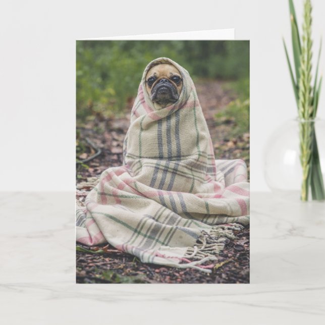 PUG HUND BIRTHDAY GREETING CARD KORT (Framsida)