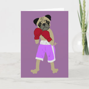 Pug Hund Boxing Handskar Boxer Kort
