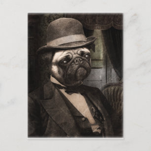 Pug Hund Dapper Gent Vykort