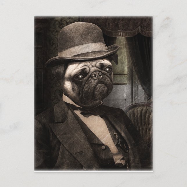 Pug Hund Dapper Gent Vykort (Framsida)