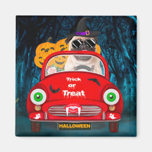 Pug Hund Driving Car Scary Halloween Magnet