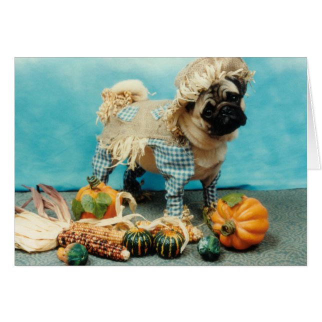 Pug Hund Fågelskrämma Hälsningskort (Framsidan Horizontal)