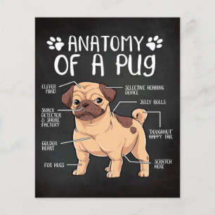 pug hund flygblad