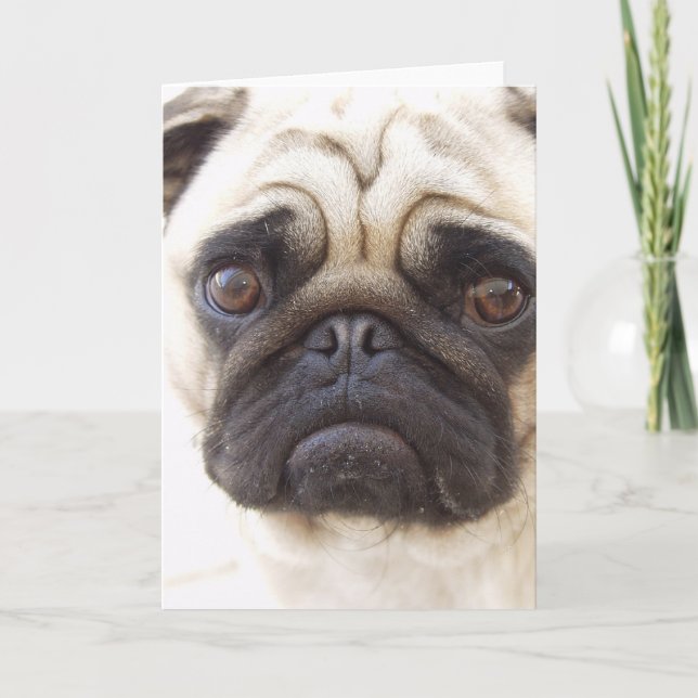 Pug Hund Greeting Card Kort (Framsida)