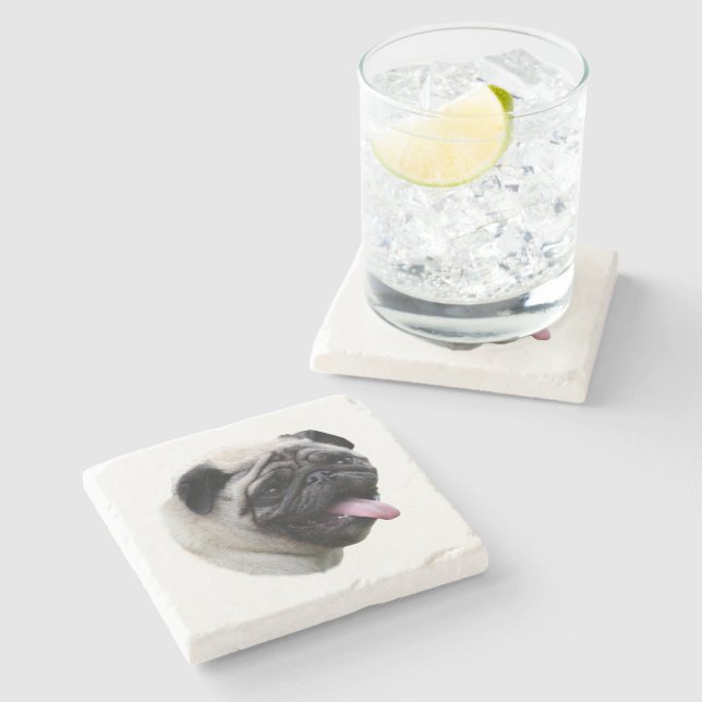 Pug-hund husfoto porträtt underlägg sten (Sidan)