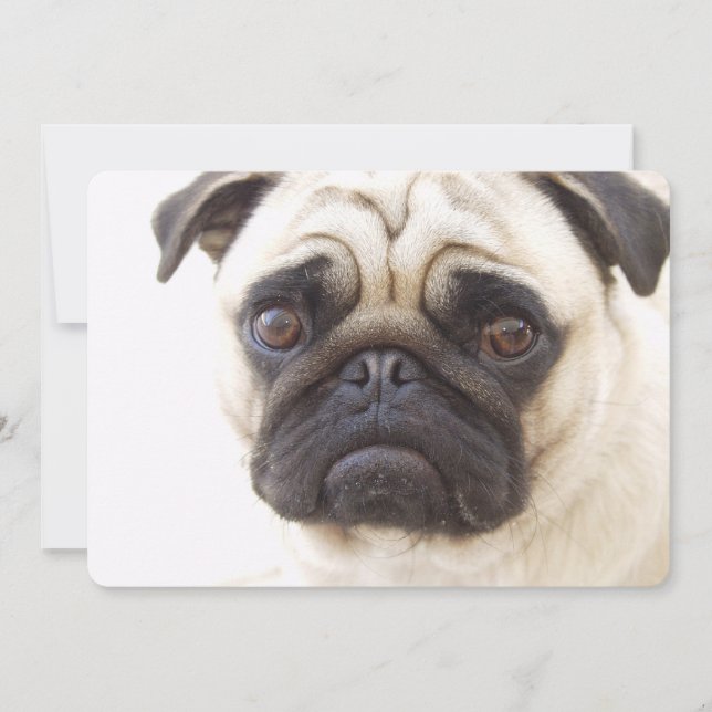 Pug-Hund Inbjudningar (Framsida)