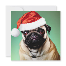 Pug Hund jul