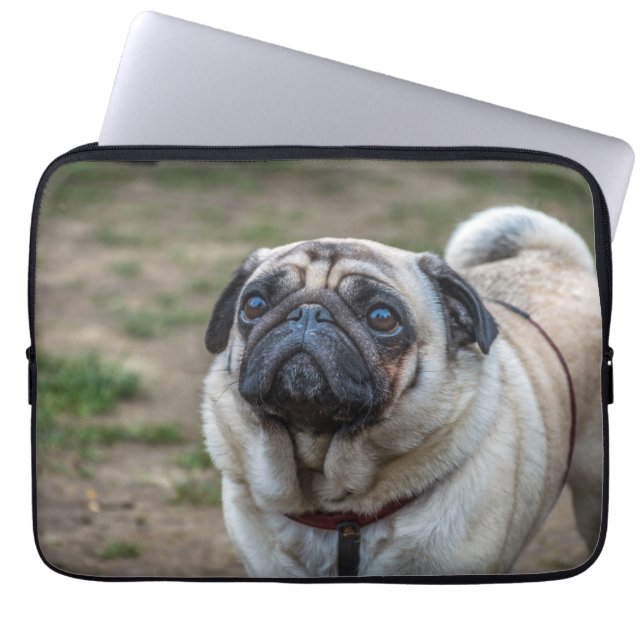 Pug hund laptop sleeve (Framsidan)