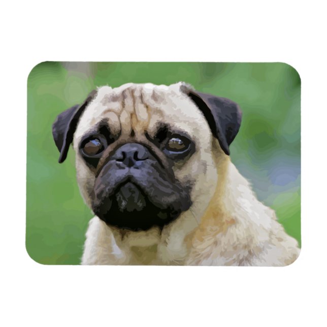 Pug Hund Magnet (Horisontell)