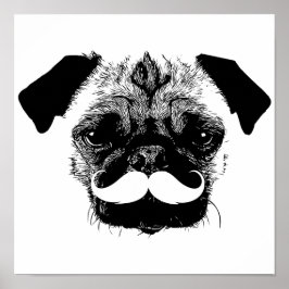 Pug Hund med Mustache Black & White Poster