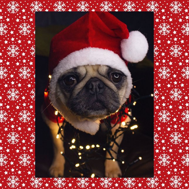 Pug Hund - Namnteckning Jul - anpassa Helgkort (Skapare uppladdad)