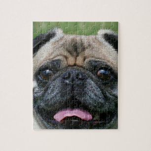 Pug-Hund Pussel